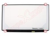Display N156BGE-E42 for 15,6" inches laptop, 30 pines connector